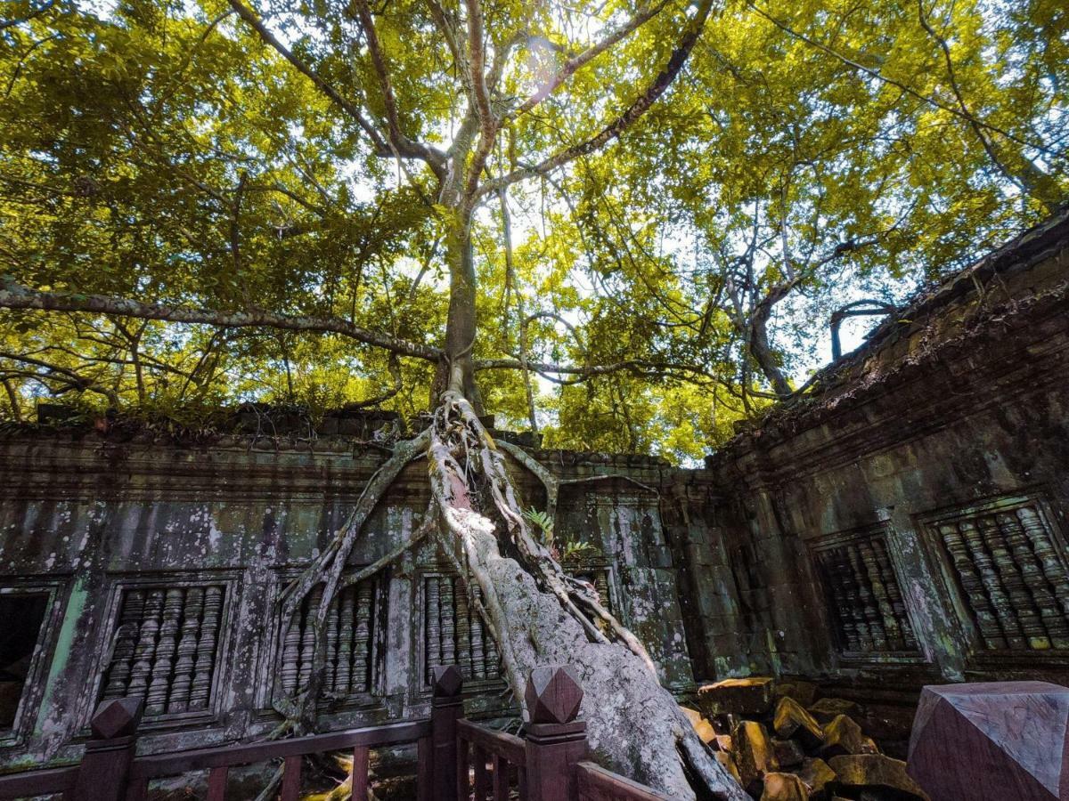 Anachak Angkor Residence Siem Reap Exterior photo